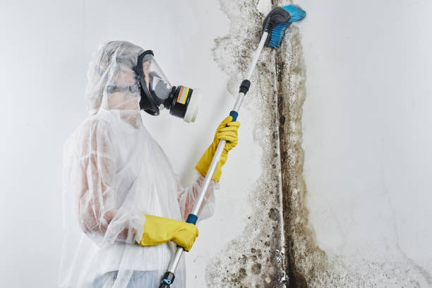 Crawl Space Mold Removal in Bonneauville, PA