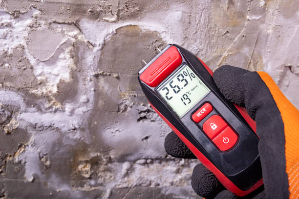 Best Professional Mold Removal  in Bonneauville, PA