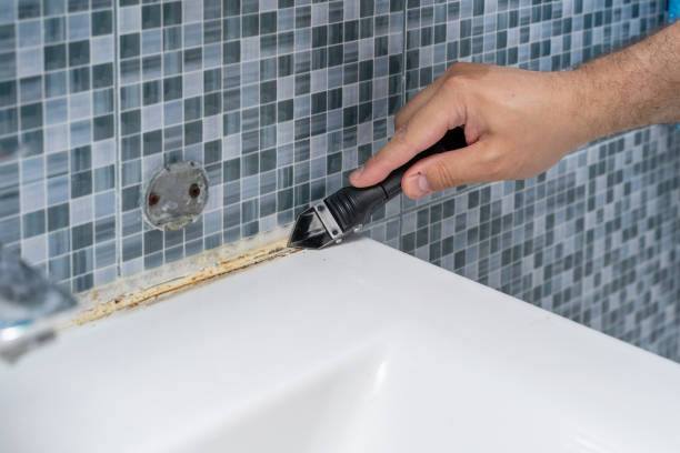 Best Black Mold Removal  in Bonneauville, PA